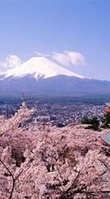 Descargar la imagen Asia,Montañas,Paisaje,Sakura para celular gratis.