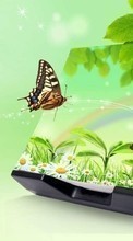 Descargar la imagen Mariposas,Insectos,Imágenes para celular gratis.