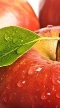 Descargar la imagen Comida,Fondo,Manzanas,Drops,Frutas para celular gratis.