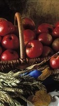 Manzanas,Comida,Fondo,Naturaleza muerta para Nokia X2