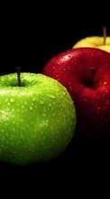 Descargar la imagen Frutas,Comida,Manzanas para celular gratis.