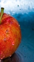 Descargar la imagen Manzanas,Comida,Frutas para celular gratis.