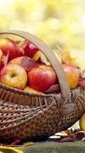 Frutas,Comida,Manzanas para Asus Zenfone 4 A450CG