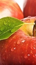 Descargar la imagen Frutas,Comida,Manzanas,Drops para celular gratis.