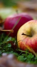Descargar la imagen Plantas,Frutas,Comida,Otoño,Hojas,Manzanas para celular gratis.
