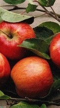 Descargar la imagen Plantas,Frutas,Comida,Manzanas para celular gratis.