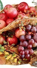 Descargar la imagen Manzanas,Comida,Frutas,Uvas para celular gratis.
