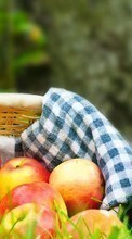 Descargar la imagen Manzanas,Comida,Objetos para celular gratis.