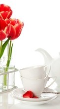 Descargar la imagen Bouquets,Flores,Fondo,Plantas,Tulipanes para celular gratis.