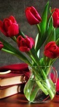 Descargar la imagen Tulipanes,Bouquets,Libros,Naturaleza muerta,Plantas,Flores para celular gratis.
