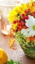 Descargar la imagen Bouquets,Flores,Objetos para celular gratis.