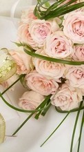 Descargar la imagen Plantas,Flores,Roses,Bouquets,Boda,Vacaciones para celular gratis.