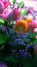 Plantas,Flores,Bouquets para Samsung Star 2 S5260 