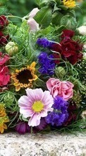 Bouquets,Flores,Plantas para Samsung Galaxy Note 3