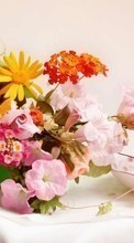 Bouquets,Flores,Plantas