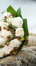 Bouquets,Flores,Plantas para Sony Ericsson Xperia X8