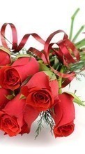 Plantas,Flores,Roses,Bouquets para Sony Ericsson txt pro