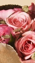 Bouquets,Flores,Plantas,Roses para HTC One S