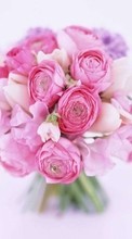 Descargar la imagen Bouquets,Flores,Plantas,Roses para celular gratis.