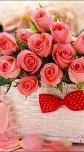 Descargar la imagen Bouquets,Flores,Plantas,Roses para celular gratis.