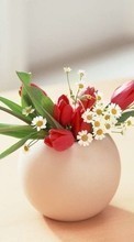 Descargar la imagen Plantas,Flores,Tulipanes,Bouquets para celular gratis.