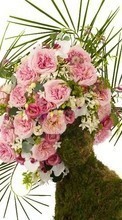 Descargar la imagen Vacaciones,Plantas,Roses,Bouquets para celular gratis.