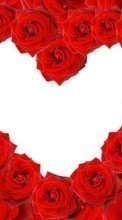 Descargar la imagen Vacaciones,Flores,Fondo,Roses,Corazones,Día de San Valentín para celular gratis.