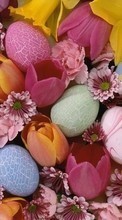 Descargar la imagen Plantas,Flores,Fondo,Huevos,Pascua para celular gratis.