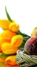 Descargar la imagen Flores,Huevos,Pascua,Vacaciones para celular gratis.