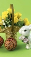 Descargar la imagen Flores,Huevos,Pascua,Vacaciones,Plantas para celular gratis.