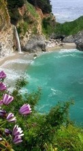 Descargar la imagen Paisaje,Flores,Mar,Playa para celular gratis.