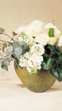 Flores,Objetos,Plantas para HTC Sensation