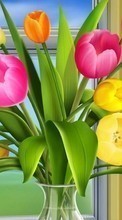 Descargar la imagen Plantas,Flores,Imágenes para celular gratis.