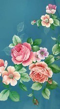 Descargar la imagen 720x1280 Plantas,Flores,Roses,Imágenes para celular gratis.