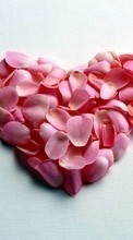Descargar la imagen Vacaciones,Corazones,Amor,Día de San Valentín para celular gratis.