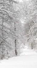 Descargar la imagen Paisaje,Invierno,Naturaleza,Árboles,Carreteras,Nieve,Abetos para celular gratis.