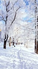 Descargar la imagen Nieve,Paisaje,Invierno,Árboles,Carreteras para celular gratis.