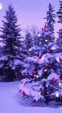 Descargar la imagen 1024x768 Vacaciones,Invierno,Árboles,Año Nuevo,Nieve,Abetos,Navidad para celular gratis.