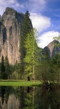 Árboles,Montañas,Paisaje,Ríos para OnePlus 8 Pro