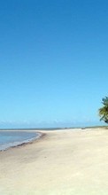 Paisaje,Árboles,Playa,Palms,Verano para Samsung Corby S3650