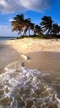 Descargar la imagen Paisaje,Agua,Árboles,Cielo,Mar,Playa para celular gratis.