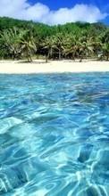 Paisaje,Agua,Árboles,Mar,Playa para Samsung Galaxy Fit