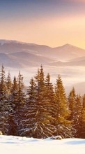 Árboles,Paisaje,Naturaleza,Nieve,Invierno para HTC Desire VT