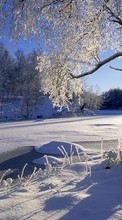 Descargar la imagen Paisaje,Invierno,Árboles,Sol,Nieve para celular gratis.