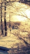 Descargar la imagen Paisaje,Invierno,Árboles,Puesta del sol,Nieve para celular gratis.