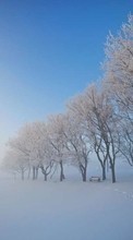 Paisaje,Invierno,Árboles,Nieve para Sony Xperia E4
