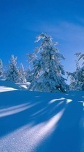 Paisaje,Invierno,Árboles,Nieve para LG Optimus Elite LS696