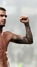 Descargar la imagen David Beckham,Personas,Hombres para celular gratis.