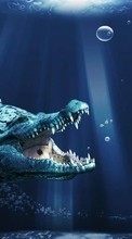 Descargar la imagen Dinosaurios,Fantasía,Animales para celular gratis.
