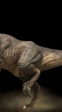 Descargar la imagen Dinosaurios,Animales para celular gratis.